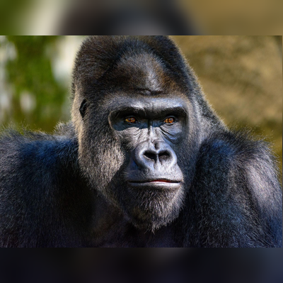 Sam avatar